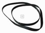 Brandt Poly v belt - 1151h7el 55x3861 Belt--1151