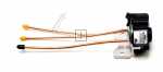 Smeg Solenoid Valve - 819130682 Bowl